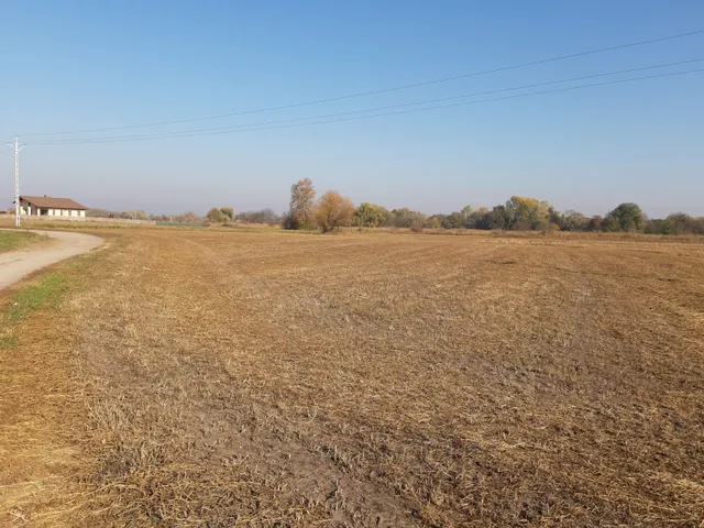 Eladó telek Kiskunhalas, Kertváros 4103 nm