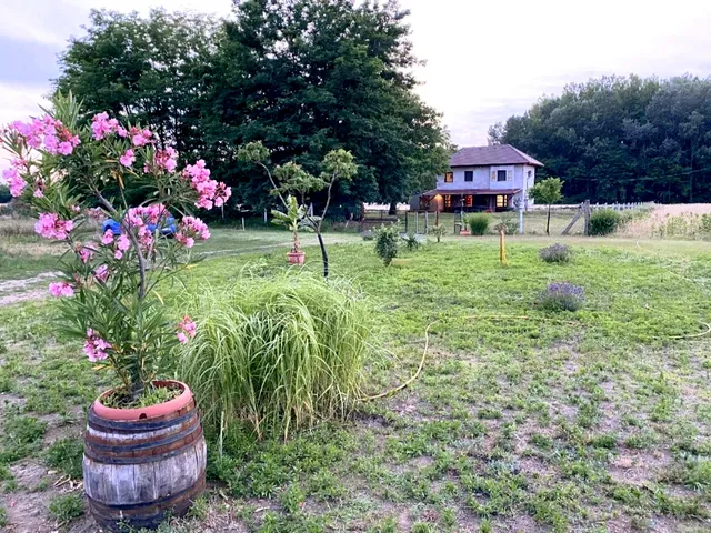 Eladó mezőgazdasági ingatlan Kiskunmajsa 70 nm