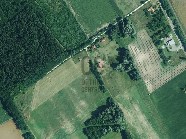Eladó mezőgazdasági ingatlan Aba 30000 nm