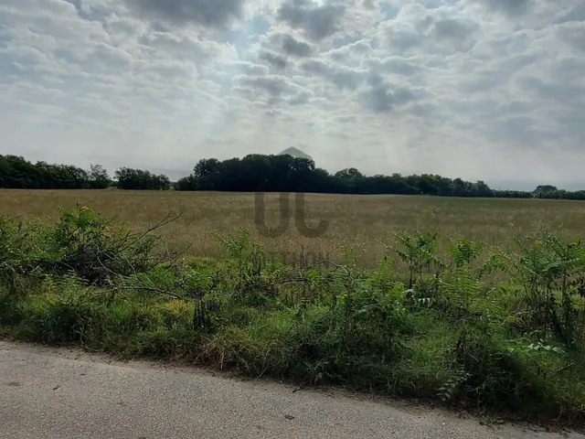 Eladó mezőgazdasági ingatlan Aba 30000 nm