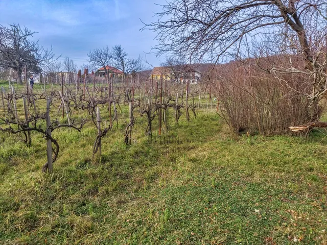 Eladó telek Várpalota, Inota 48 nm