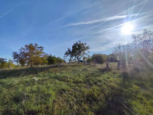 Eladó mezőgazdasági ingatlan Nádasdladány 7390 nm