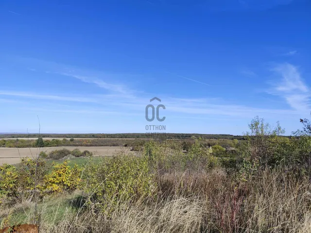 Eladó mezőgazdasági ingatlan Nádasdladány 7390 nm