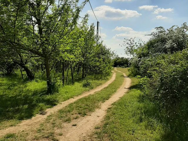 Eladó telek Szabadbattyán 800 nm