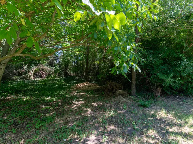 Eladó telek Székesfehérvár, Feketehegy 1445 nm