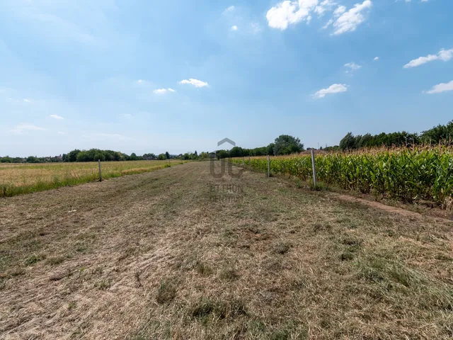 Eladó telek Polgárdi 5317 nm