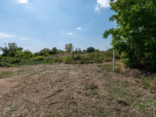 Eladó telek Polgárdi 5317 nm