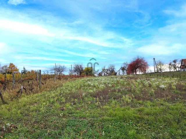 Eladó telek Fehérvárcsurgó 1233 nm