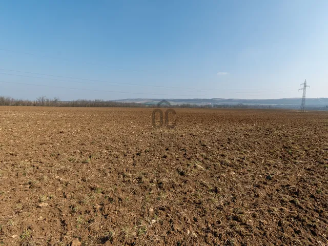 Eladó mezőgazdasági ingatlan Isztimér 214000 nm