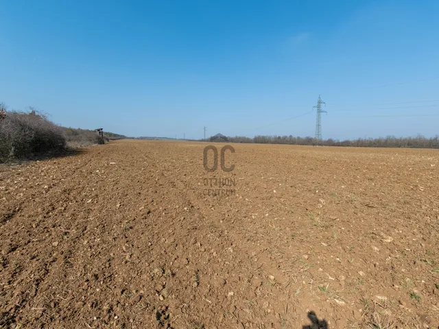 Eladó mezőgazdasági ingatlan Isztimér, Burok-völgy 214000 nm