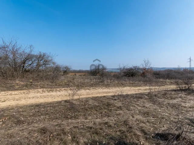 Eladó mezőgazdasági ingatlan Isztimér, Burok-völgy 214000 nm