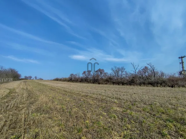 Eladó mezőgazdasági ingatlan Magyaralmás 4426 nm