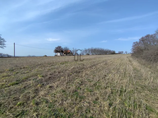 Eladó mezőgazdasági ingatlan Magyaralmás 4426 nm