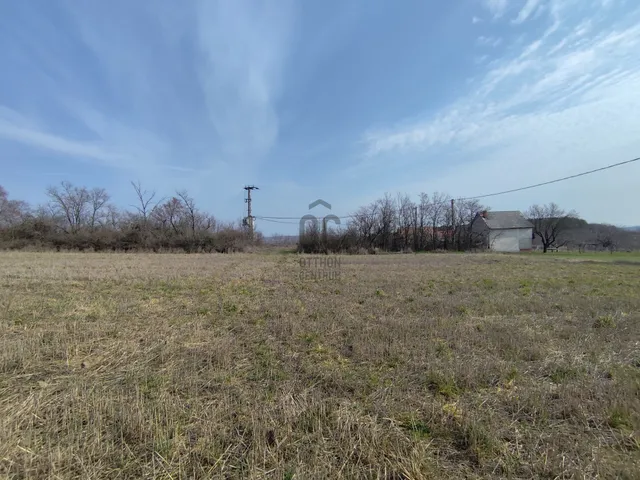 Eladó mezőgazdasági ingatlan Magyaralmás 4426 nm