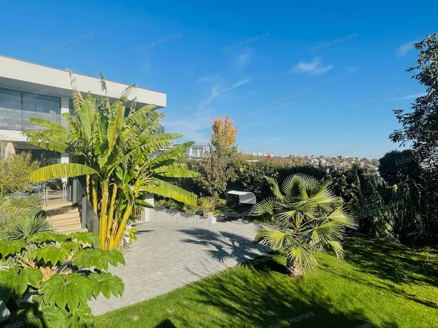 Eladó ház Budapest XI. kerület, Madárhegy 227 nm