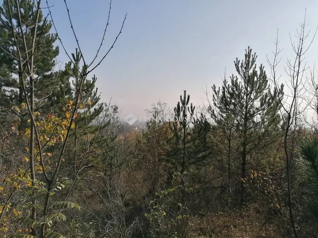 Eladó telek Zsámbék 1608 nm