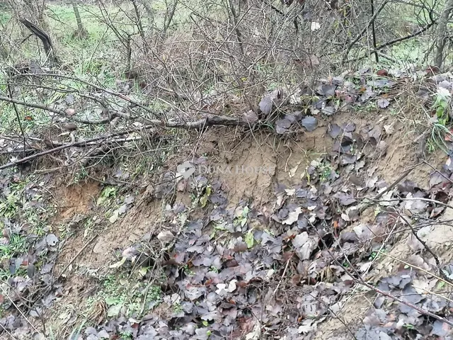 Eladó telek Maglód, Jászberényi út 19637 nm