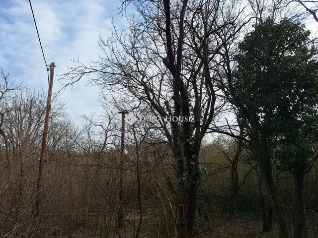 Eladó mezőgazdasági ingatlan Alcsútdoboz, Zártkert 23 nm