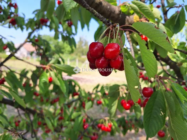Eladó ház Bicske 25 nm