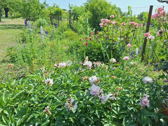 Eladó ház Bicske 25 nm