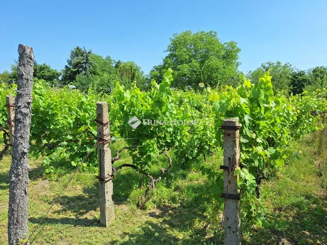 Eladó ház Bicske 25 nm