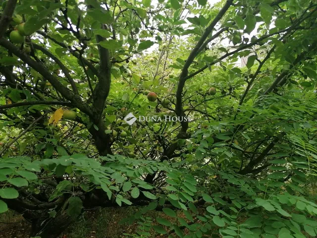 Eladó ház Újbarok 24 nm