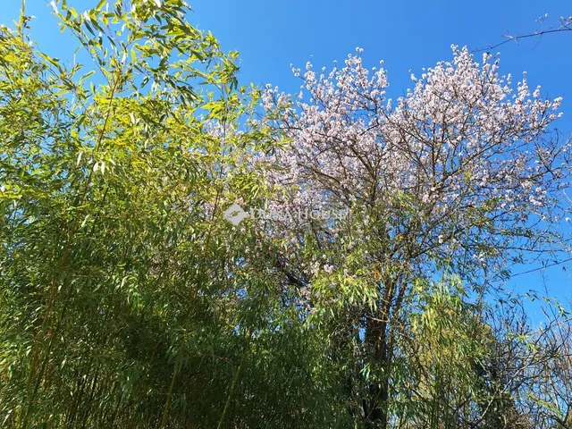 Eladó ház Újbarok 24 nm