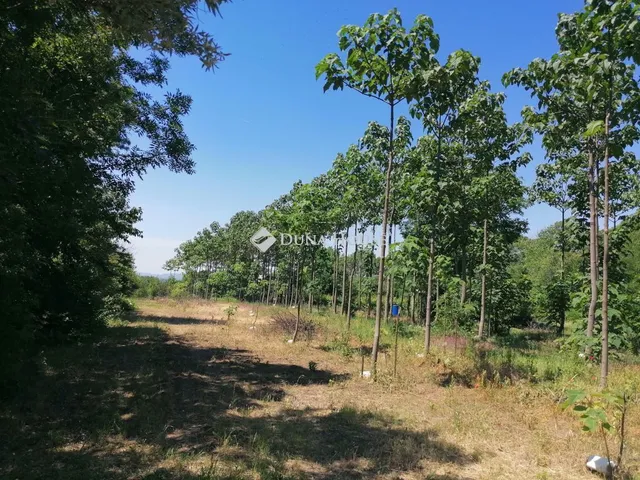 Eladó telek Bicske, Zártkert 2171 nm