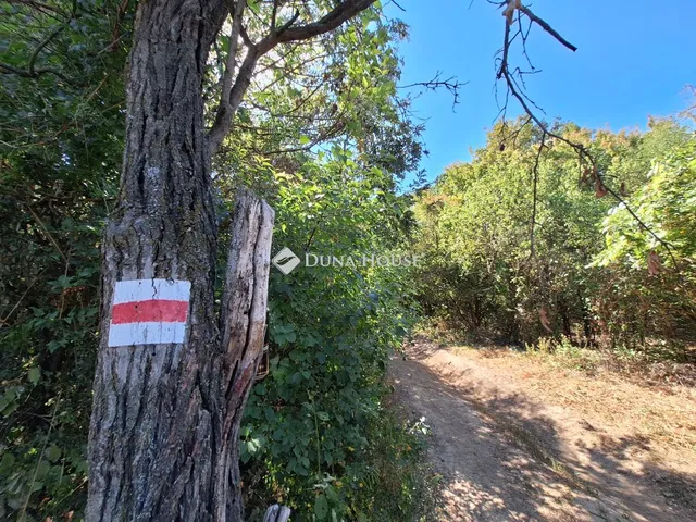 Eladó telek Biatorbágy, Zártkert 1279 nm