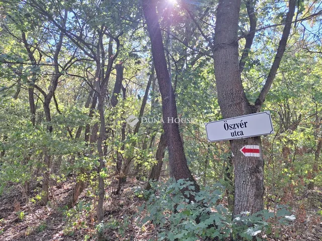 Eladó telek Biatorbágy, Zártkert 1279 nm