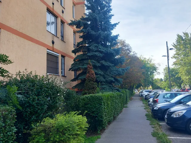 Kiadó lakás Budapest X. kerület, Szentimrey utca 48 nm