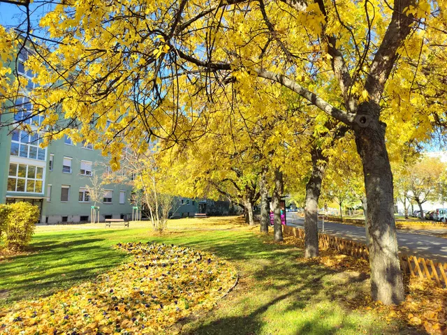 Eladó lakás Budapest IX. kerület, Dési Huber utca 52 nm