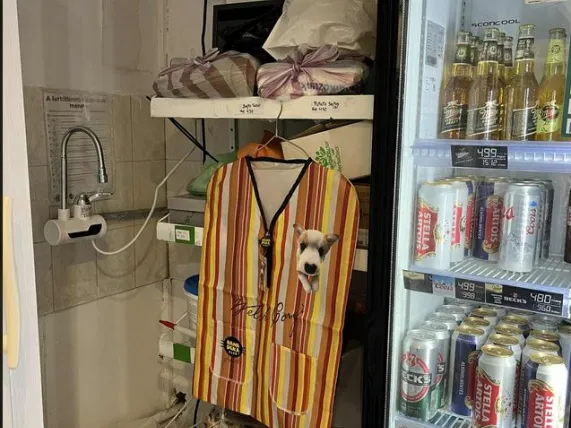 Eladó kereskedelmi és ipari ingatlan Budapest XX. kerület, Orsolya utca