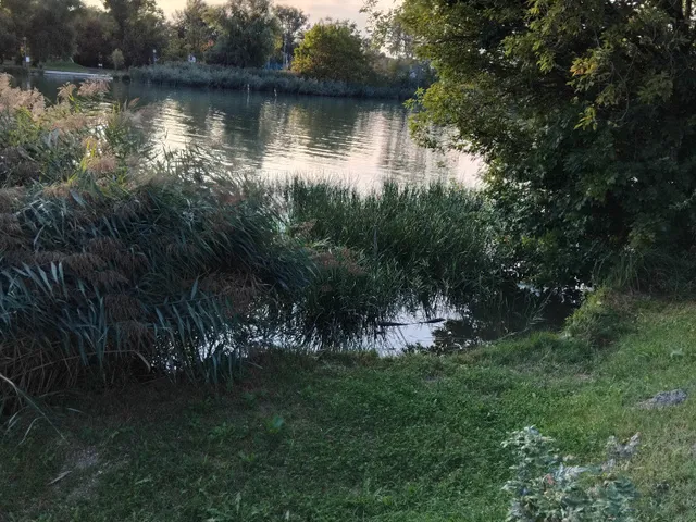 Eladó telek Budapest XXIII. kerület, Duna part közeli utca 268 nm