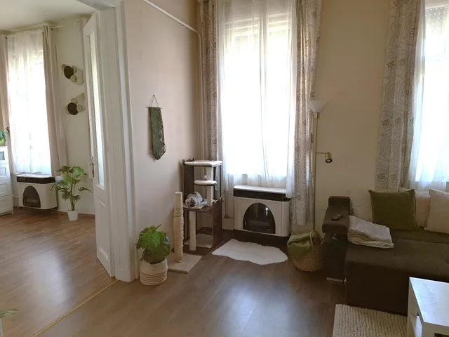 Eladó lakás Budapest XX. kerület 68 nm