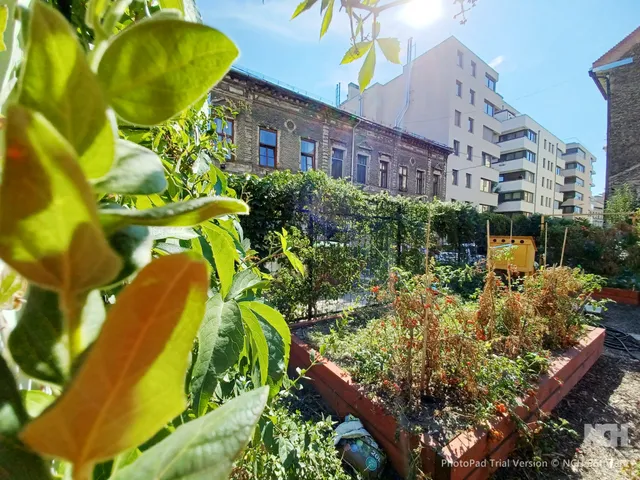 Eladó lakás Budapest VIII. kerület 23 nm