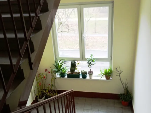 Eladó lakás Budapest XIV. kerület, Róna utca 30 nm