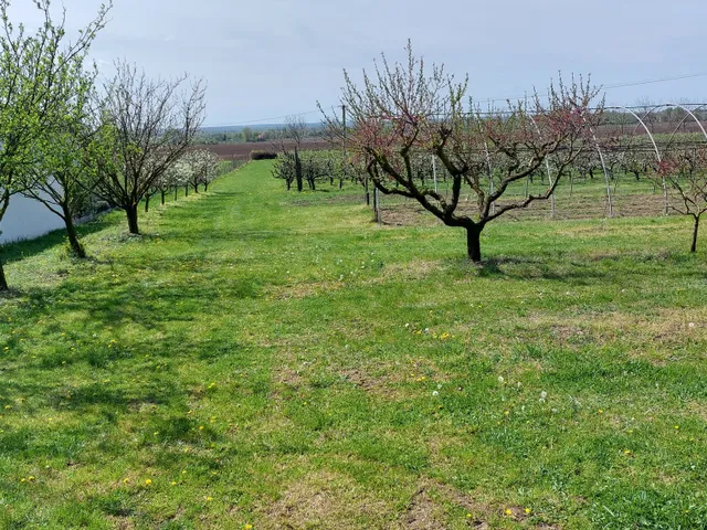 Eladó telek Siófok, Szabadifürdő 694 nm