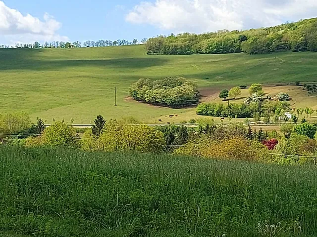 Eladó telek Lulla 1578 nm