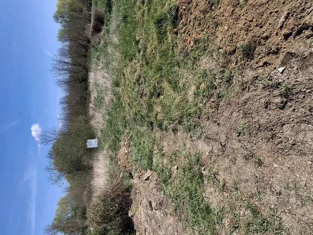 Eladó ház Vése 50 nm