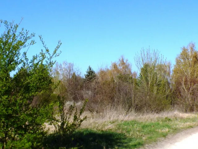Eladó telek Siófok 5574 nm