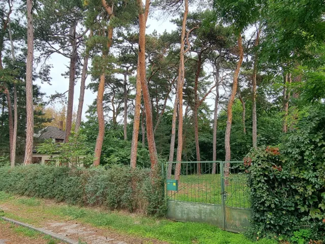 Eladó telek Balatonfenyves 596 nm