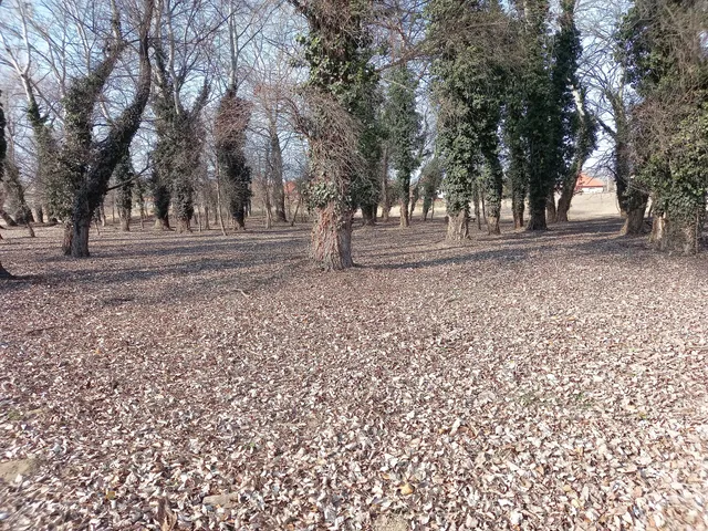 Eladó telek Kerepes, Kerepes 4483 utca 556 nm