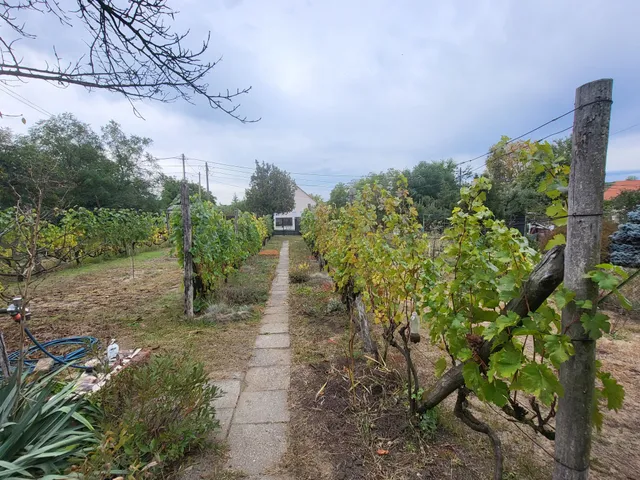 Eladó telek Mogyoród, HÉV-állomás környéke 597 nm