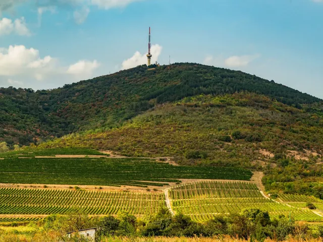 Eladó telek Tokaj 45864 nm