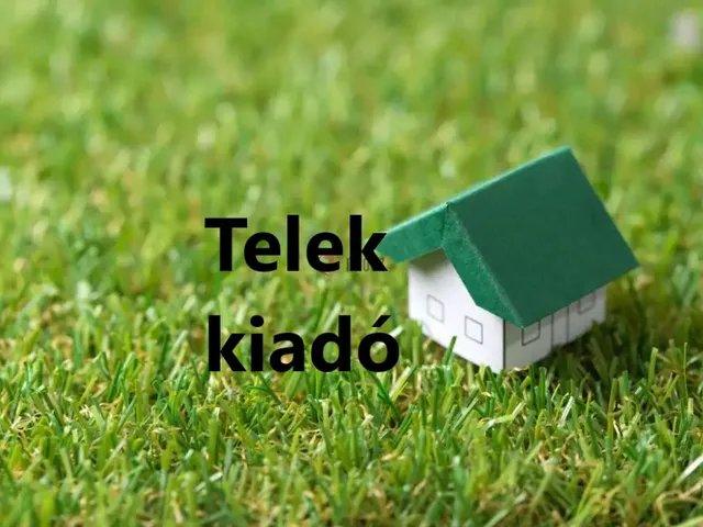 Kiadó telek Vecsés 8000 nm