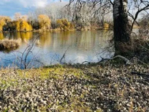 Eladó telek Szigetcsép, Dunasor közeli utca 683 nm