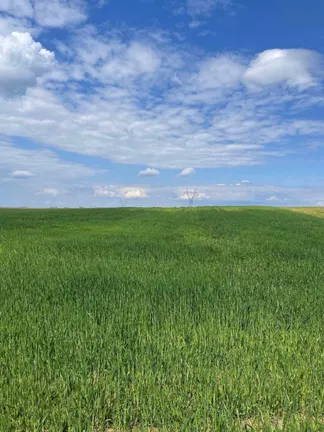 Eladó telek Fót, Fót- Kisalag 28770 nm