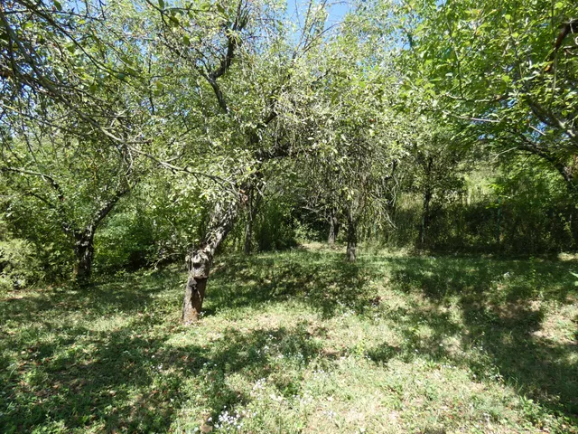 Eladó telek Pilisborosjenő 860 nm