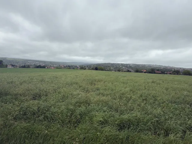 Eladó telek Pécel 6088 nm
